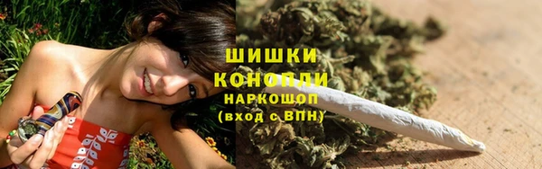 гашик Новозыбков