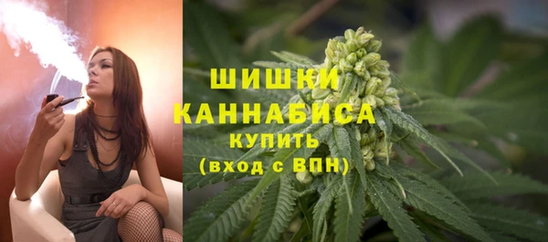 прущие крисы Новодвинск