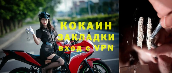 индика Новокубанск