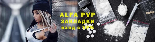 индика Новокубанск