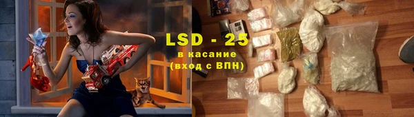 индика Новокубанск