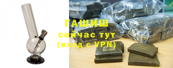гашик Новозыбков