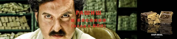 гашик Новозыбков