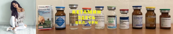 прущие крисы Новодвинск