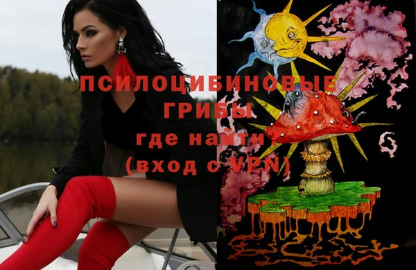 индика Новокубанск