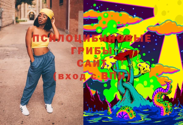 гашик Новозыбков