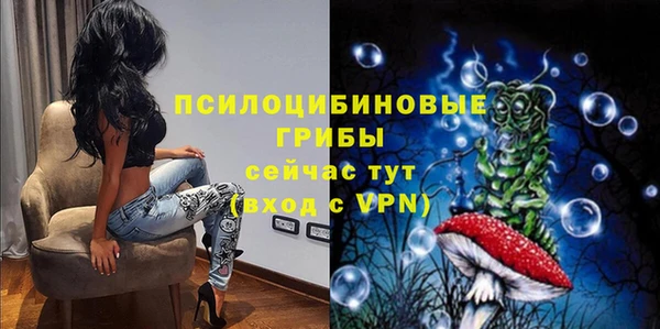 индика Новокубанск