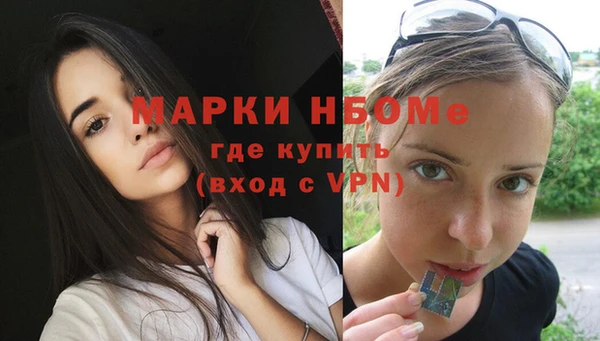 гашик Новозыбков
