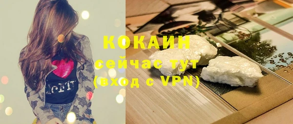 гашик Новозыбков