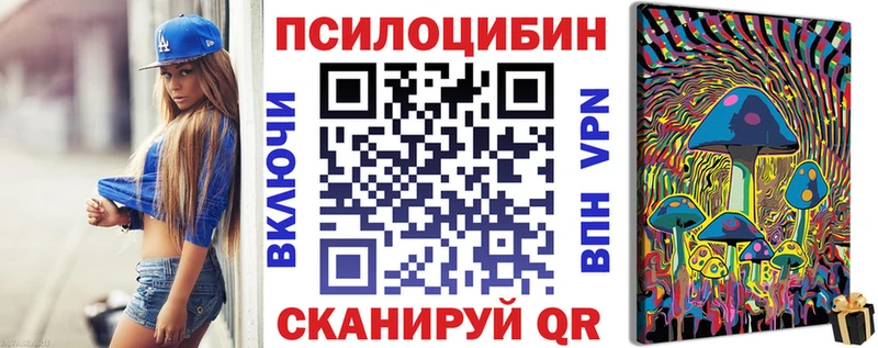 блэк спрут ТОР  даркнет сайт  Сальск  Галлюциногенные грибы Psilocybe 