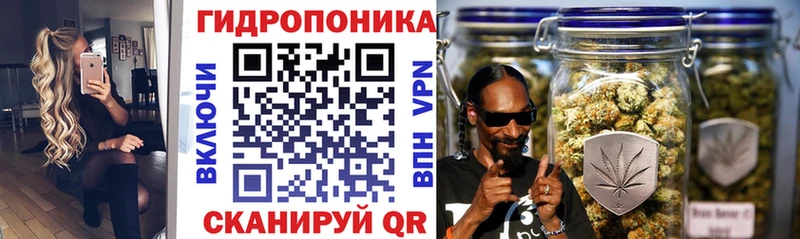 Конопля SATIVA & INDICA  сколько стоит  darknet официальный сайт  Сальск 
